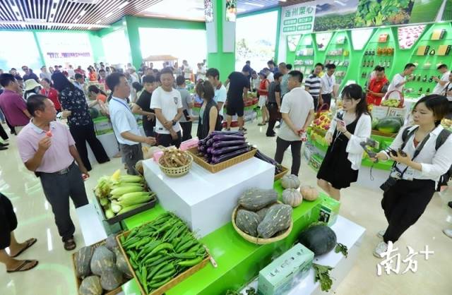 連州土壤硒含量豐富，富硒農(nóng)特產(chǎn)品吸引了眾人關(guān)注的目光。梁素雅 攝