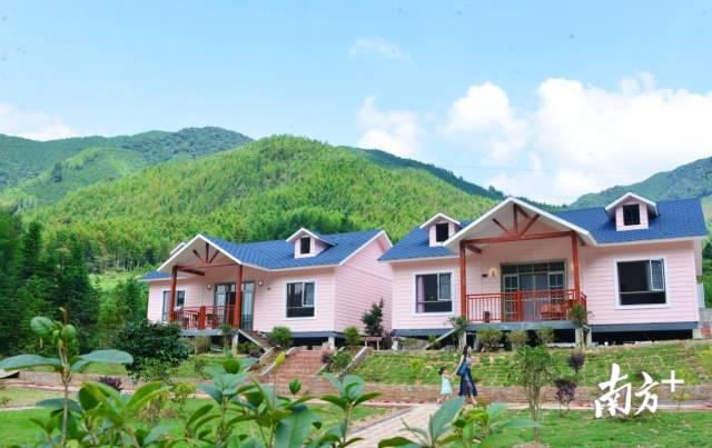 特色民宿。黃津 攝