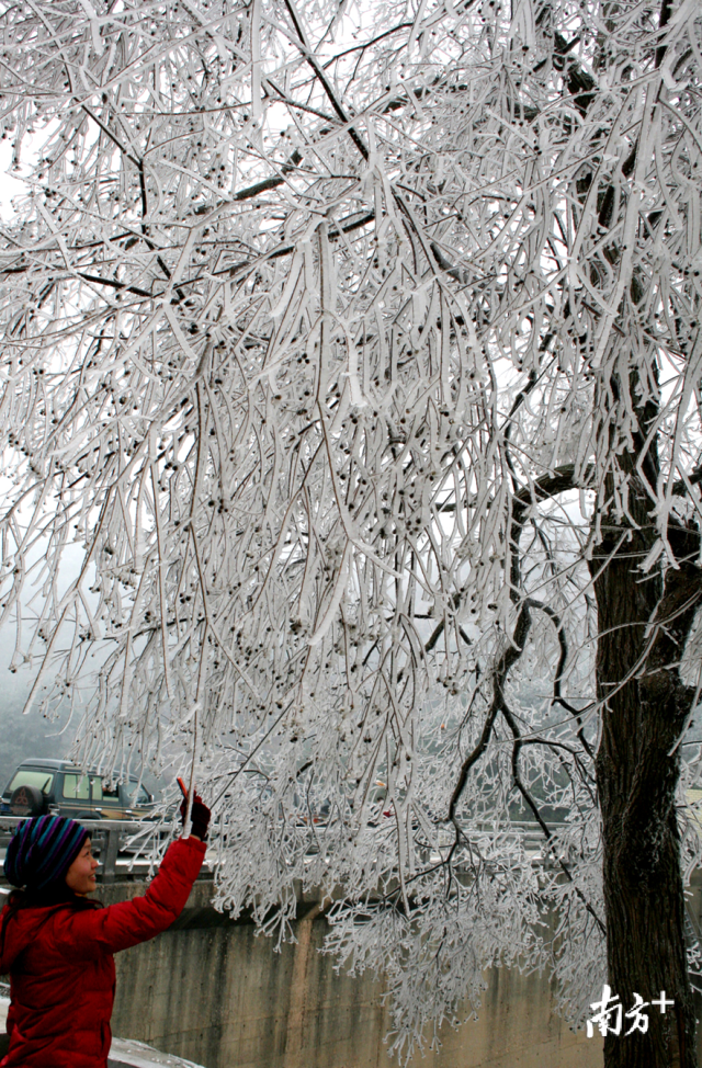 今冬的首場(chǎng)寒潮將于12月29日下午襲擊連州，最冷零下5度，提醒群眾做好御寒準(zhǔn)備。黃津 攝