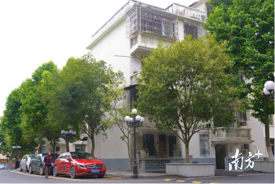 完成部分改造升級后的市政府生活區(qū)。張曉欣 攝