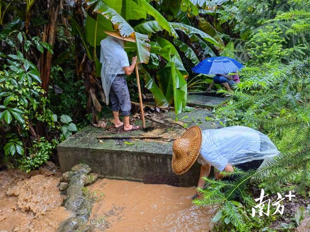為保障陂嶺近三分之二村民用水，陂嶺村新老干部冒雨前往水源點(diǎn)解決集中供水問題。